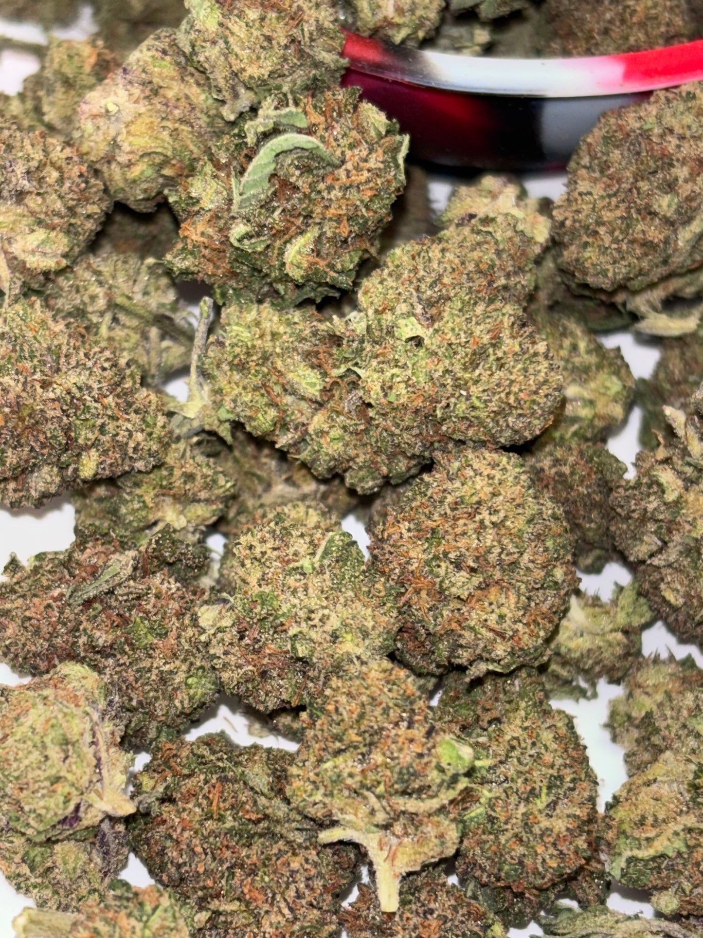 BLACKBERRY KUSH 🫐 - Small Buds