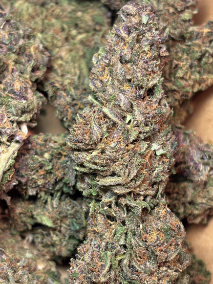 Orange Fritter 🍊🇫🇷