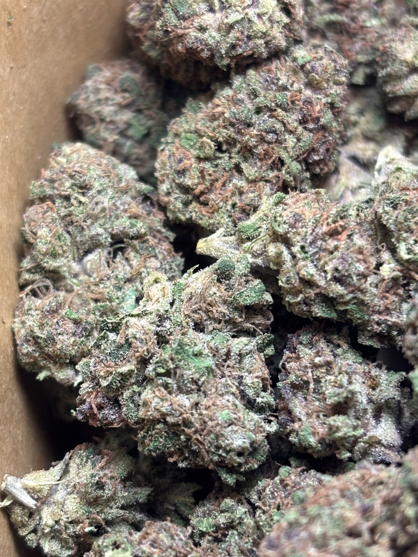 Choco Covered Strawberries 🍫🍓 - Jardins de Julien 👨‍🌾🇫🇷