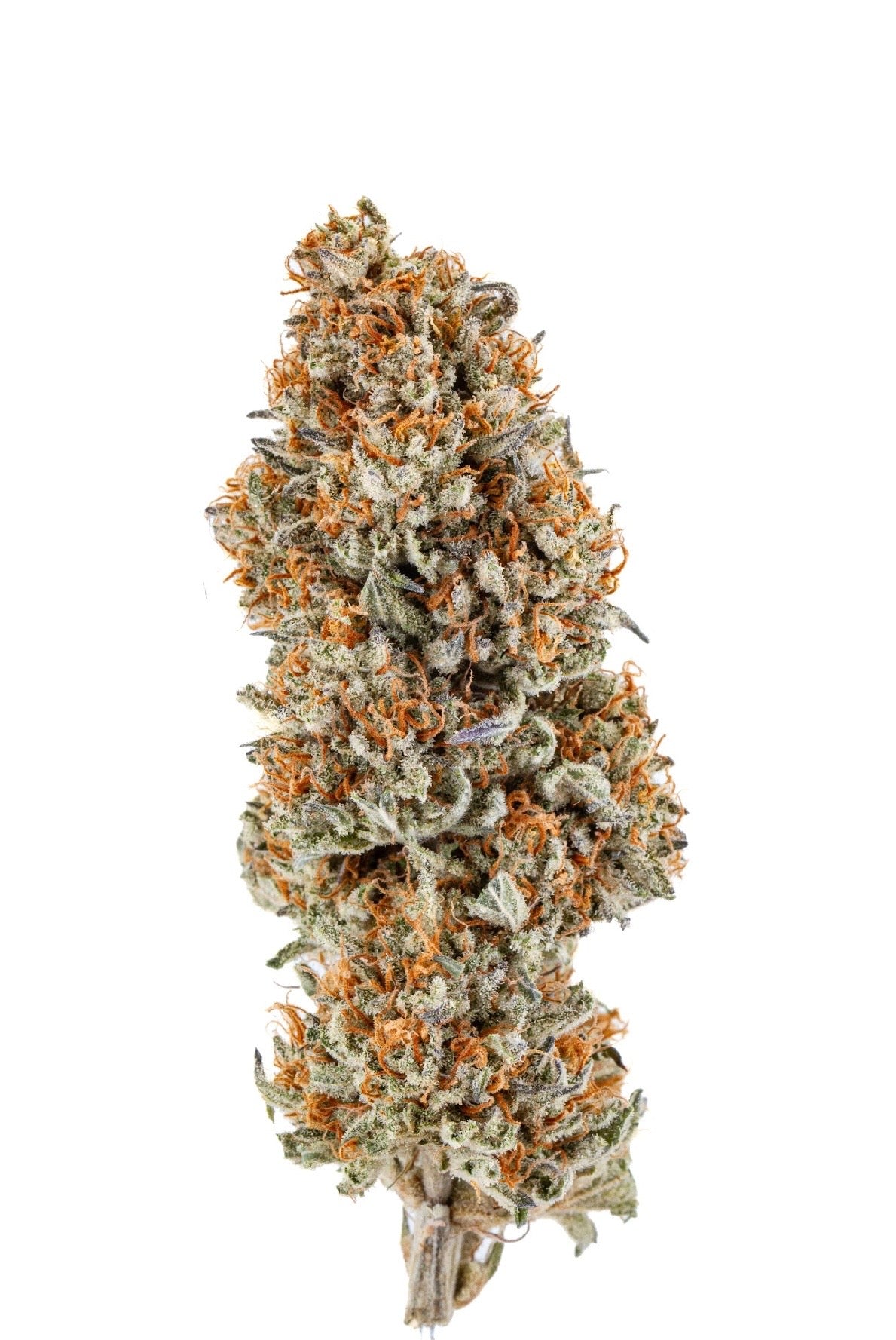 STRAWNANA 🍓🍌