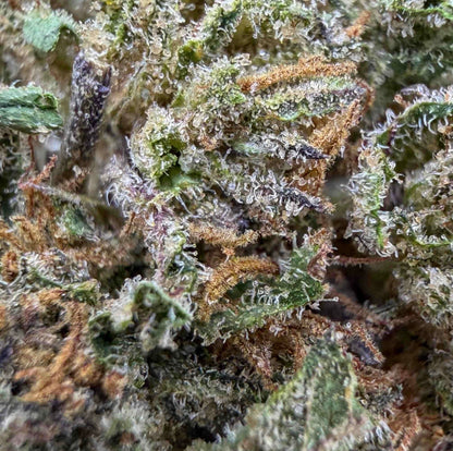 COSMIC COOKIE 🍪 - Small Buds