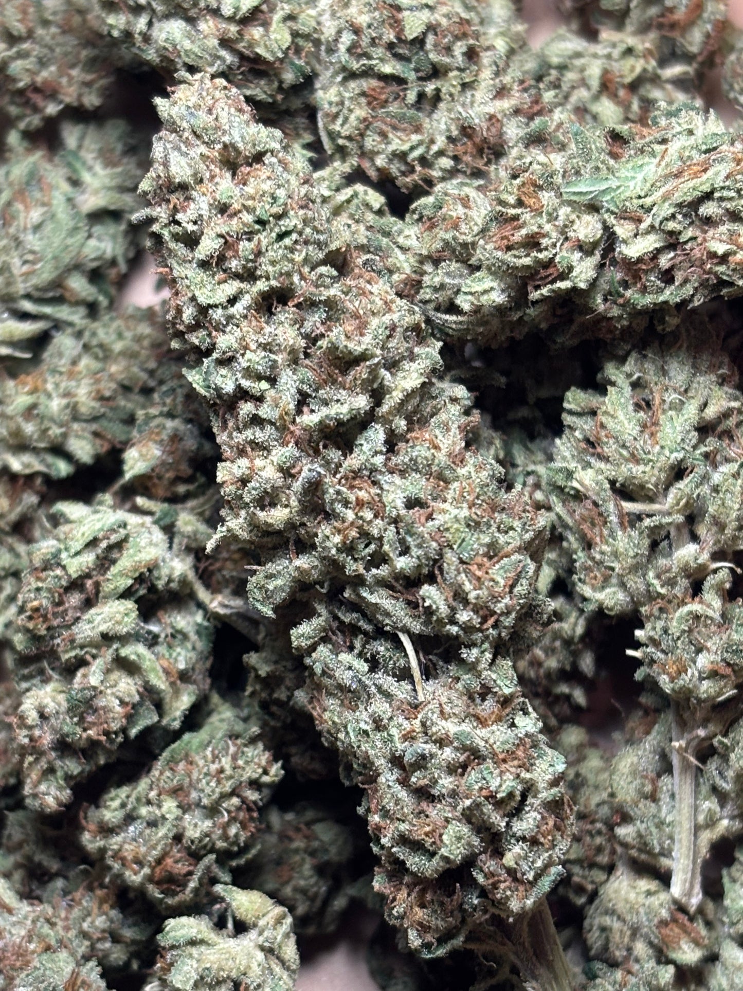 Tropical Fruit Scoop 🥭 - Jardins de Julien 👨‍🌾🇫🇷