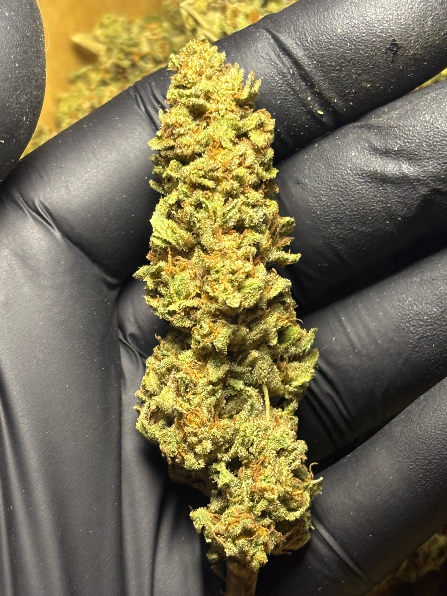 Tropical Fruit Scoop 🥭 - Jardins de Julien 👨‍🌾🇫🇷