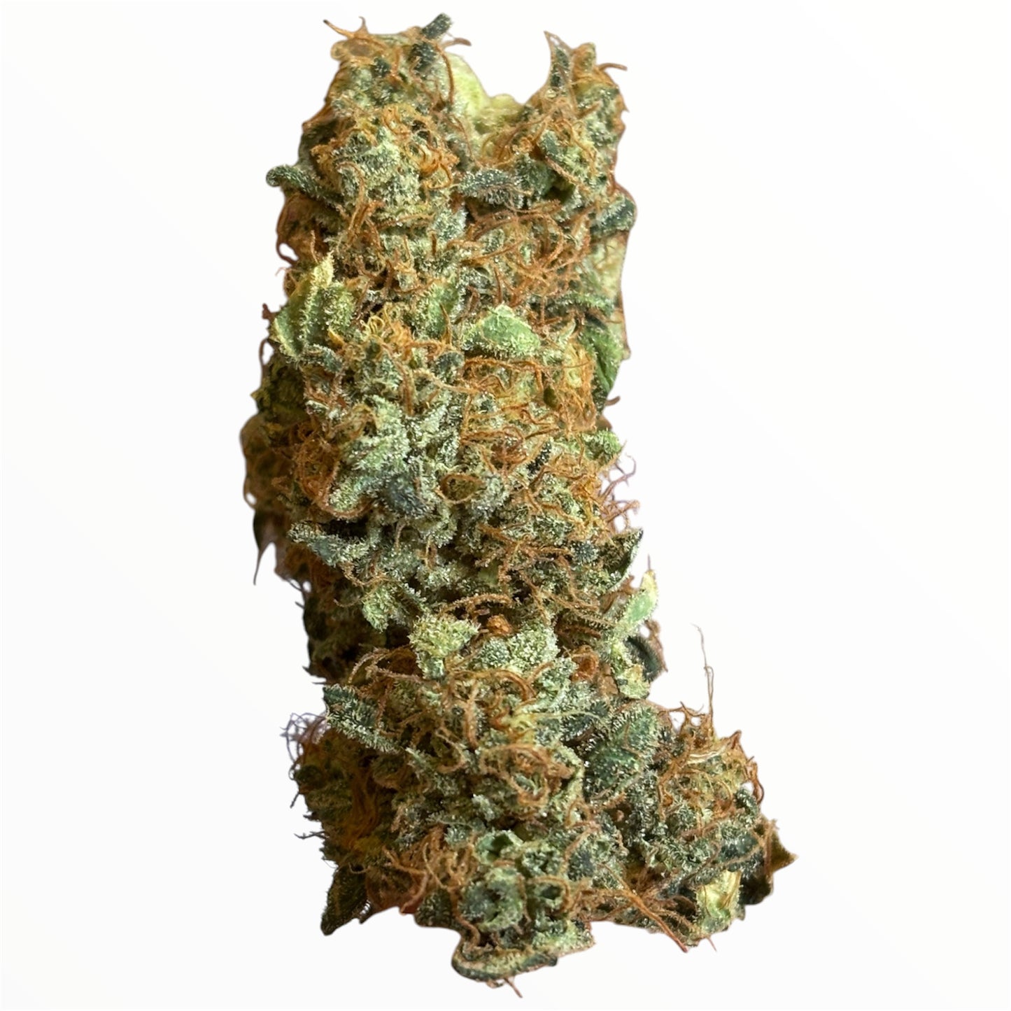 COOKIES KUSH 1 🍪 - Indoor 🇫🇷