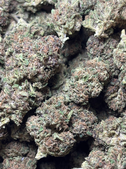 Choco Covered Strawberries 🍫🍓 - Jardins de Julien 👨‍🌾🇫🇷