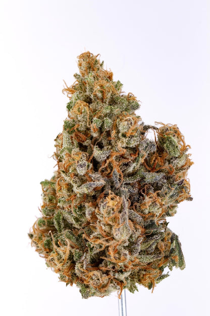 ALLIUM OG 🧅