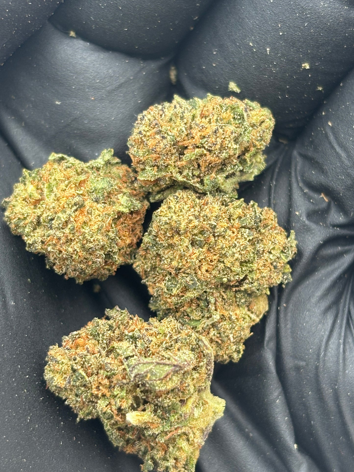 SOUR DIESEL ⛽️ - Small Buds