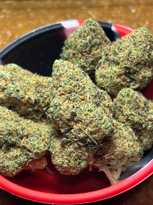 Gelato 🍧 - Indoor by Cannaïa 🇫🇷