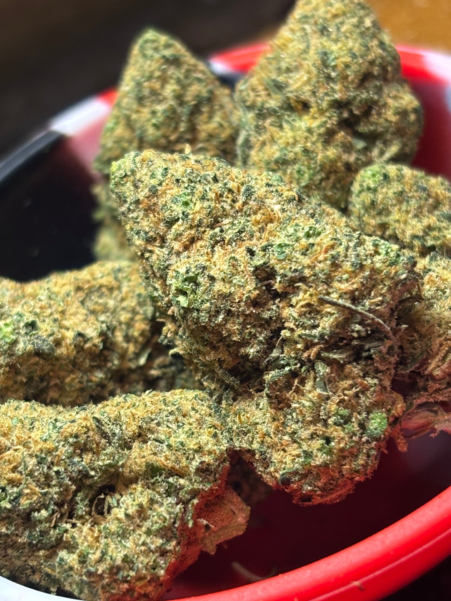 Gelato 🍧 - Indoor by Cannaïa 🇫🇷