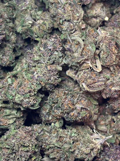 Orange Fritter 🍊🇫🇷