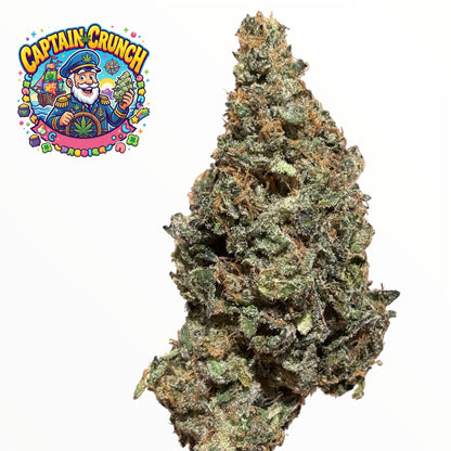 PACK DÉCOUVERTE - ORIGINAL GROWING - INDOOR PREMIUM 🏆🇫🇷