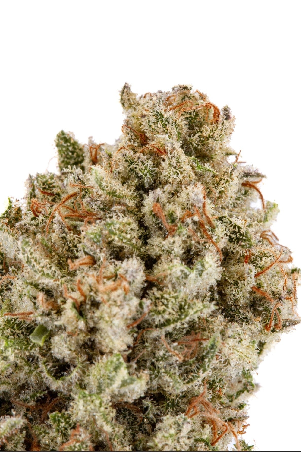 STRAWNANA 🍓🍌