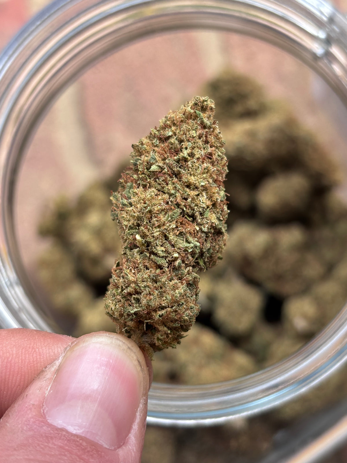 SUPER SILVER HAZE 💎