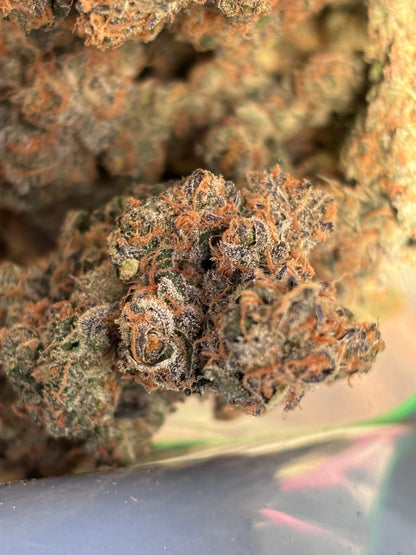 BLACK BERZERKER - Indoor Hydro By Original Growing 🇫🇷