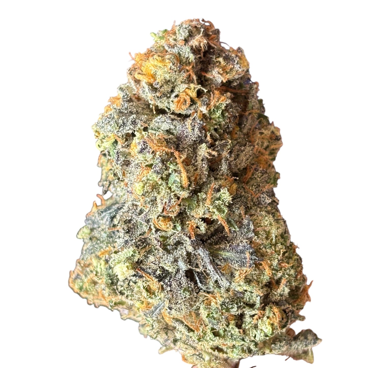 BLACK BERSERKER ⛽️