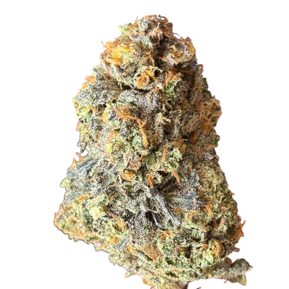 BLACK BERSERKER ⛽️