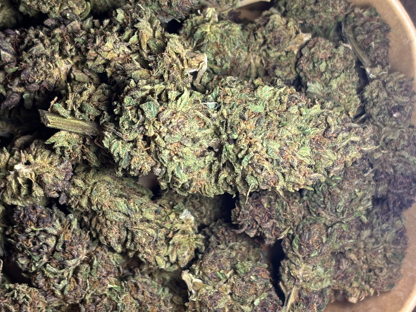 Skunk Jam 🍄🇫🇷