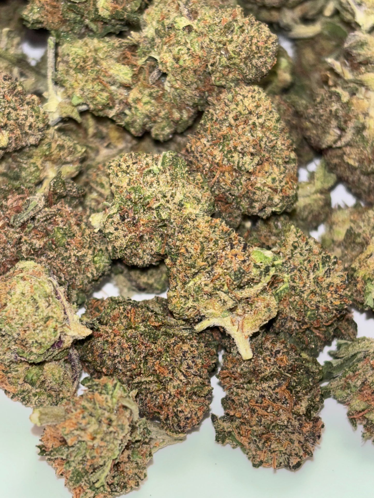 BLACKBERRY KUSH 🫐 - Small Buds